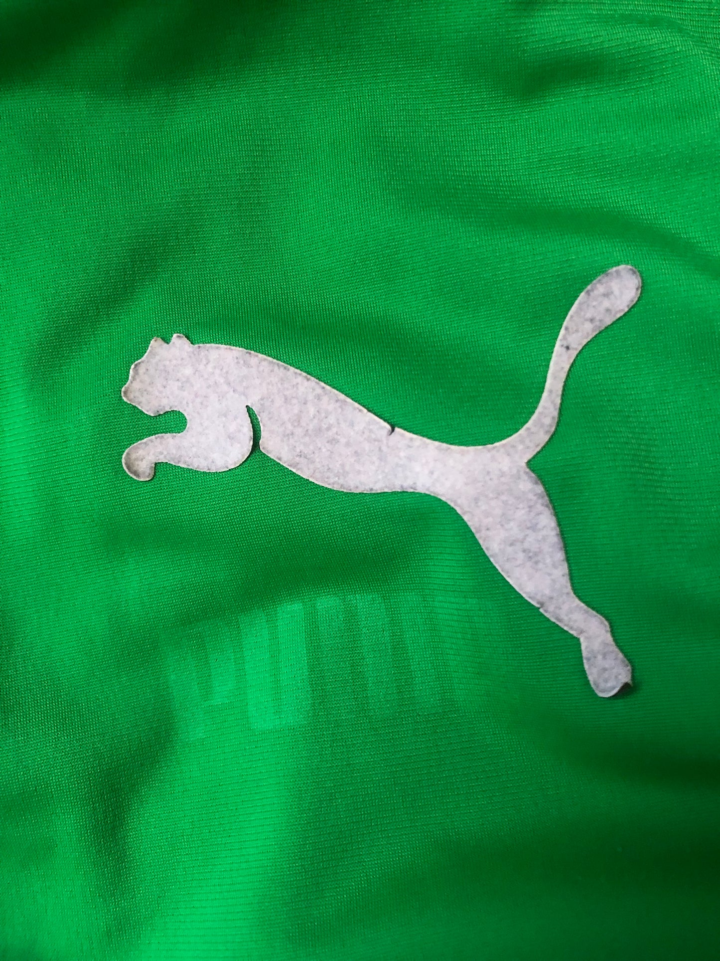 Y2K Puma Green Track Jacket (L/XL)