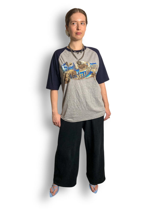 Y2K Yellowstone National Park Heather Gray Raglan T-Shirt (L)