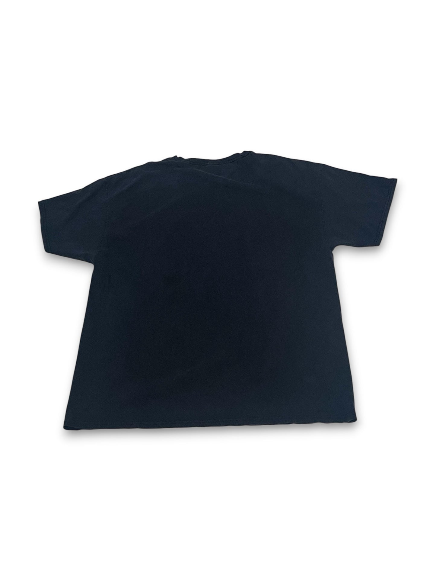 Y2K/Modern Bald Eagle Graphic Tee (XL)